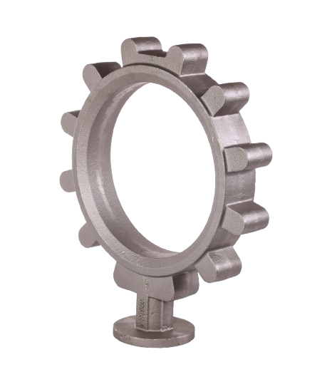 IMG_1684-removebg-preview (1)